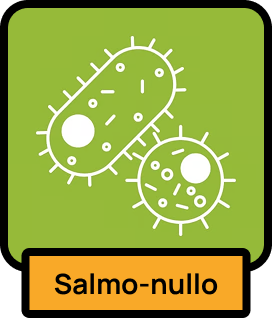 Logo aplikacji Salmo-nullo